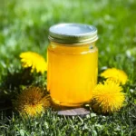 Mom's Dandelion Jelly (Spring Foraging) 91 Moms-Dandelion-Jelly-Spring-Foraging-Recipe