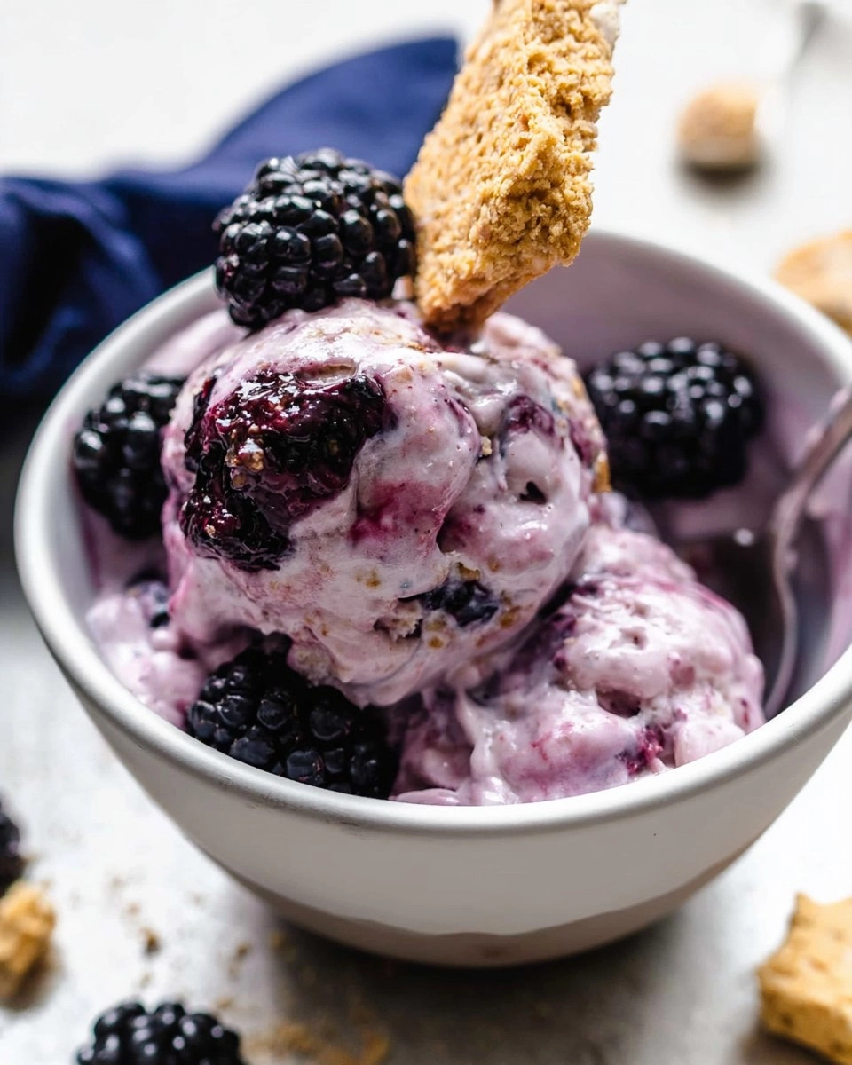 Blackberry-Cheesecake-Cottage-Cheese-Ice-Cream-Recipe