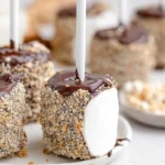 Smores-Marshmallow-Pops-Recipe